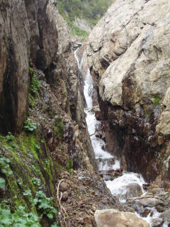 DSC07264.jpg