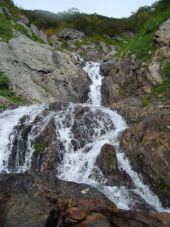 DSC07272.jpg