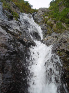 DSC07274.jpg