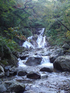 DSC07564.jpg