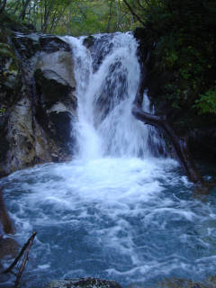DSC07565.jpg