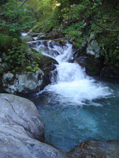 DSC07570.jpg