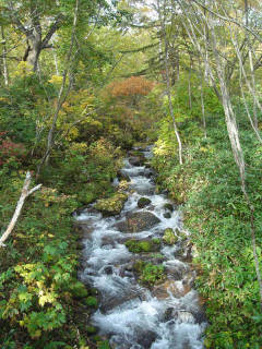 DSC07663.jpg