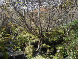 DSC07667.jpg