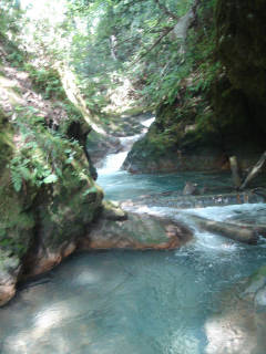 DSC06876.jpg