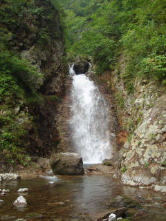 DSC06892.jpg