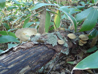 DSC07676.jpg