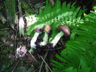 DSC07344.jpg