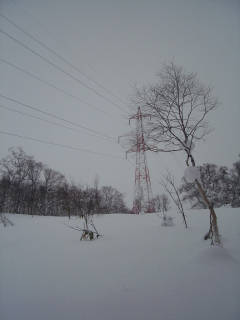 DSC07851.jpg