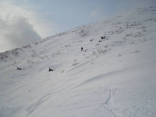 DSC07877.jpg