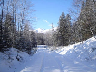 DSC07972.jpg
