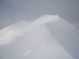 DSC07976.jpg