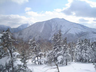 DSC07983.jpg