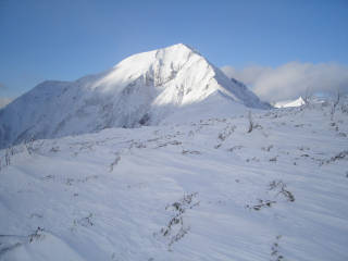 DSC07985.jpg