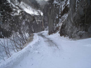 DSC08077.jpg