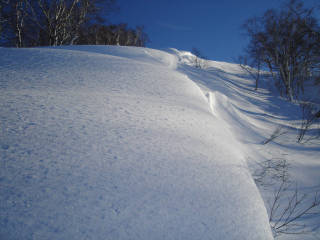 DSC08087.jpg