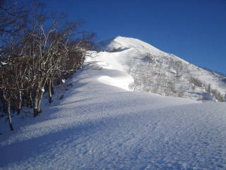 DSC08090.jpg