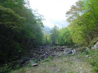 DSC08339.JPG