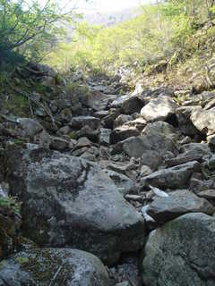 DSC08344.JPG