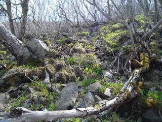 DSC08360.JPG
