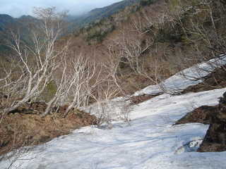 DSC08374.JPG