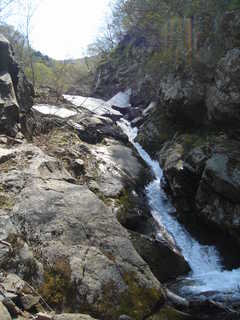 DSC08379.JPG