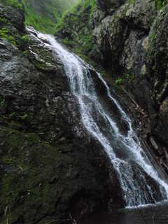 P7161851.JPG