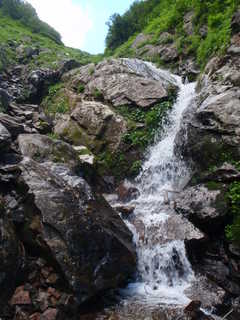 P8052201.JPG