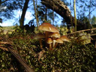 DSC08696.JPG