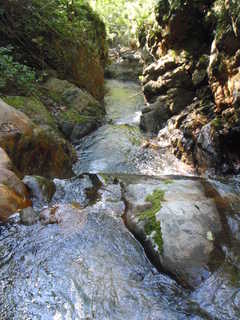 P9153533.JPG