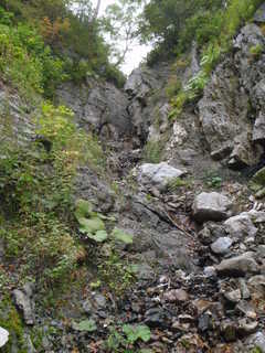P9193570.JPG