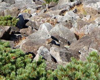P9203673_T.jpg