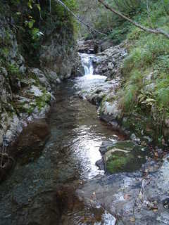 DSC08587.JPG