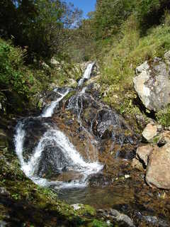 DSC08661.JPG
