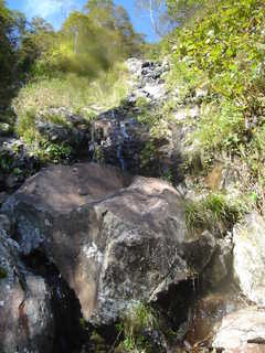 DSC08685.JPG