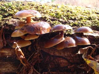 PB104013.JPG