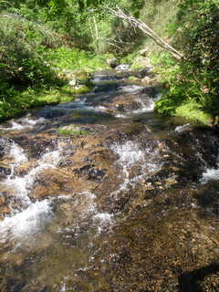 P7064843.JPG