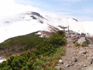 P5307142.JPG