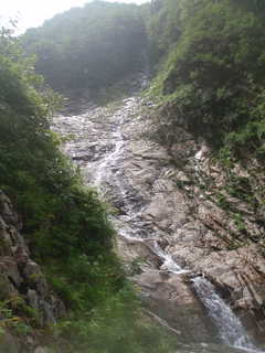 P8151011.JPG