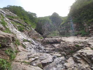 P8151042.JPG