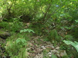 P9021450.JPG