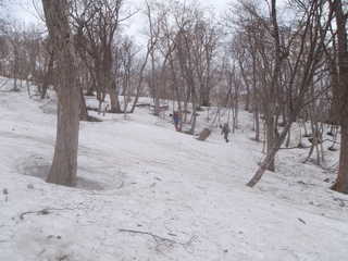 P5252664.JPG